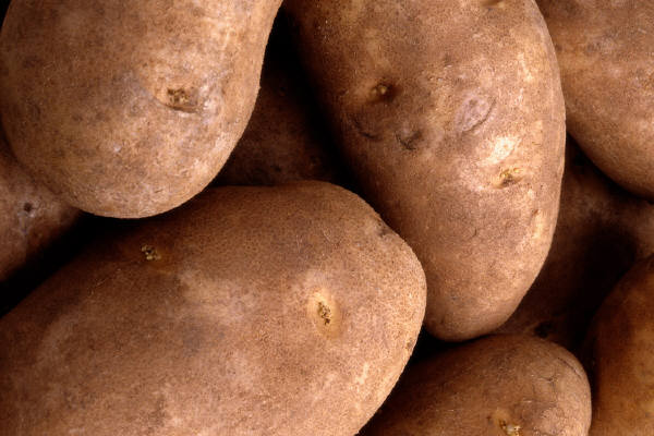 whitepotato